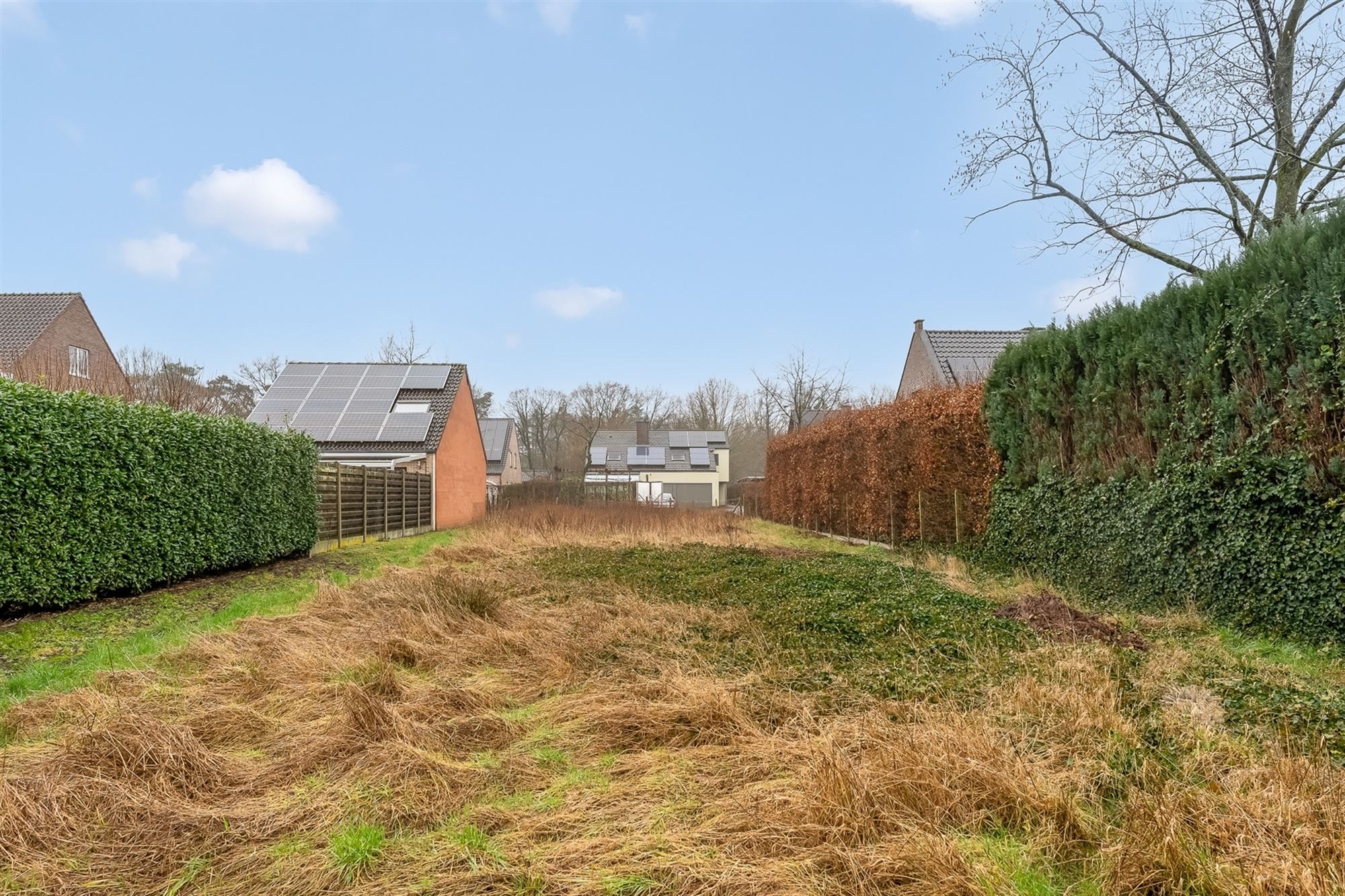 ZUIDELIJK GEORIËNTEERDE BOUWGROND VOOR HOB VAN 1045M² foto 7