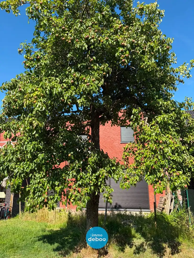 Prachtige ruime nieuwbouwwoning te Slijpe foto 17