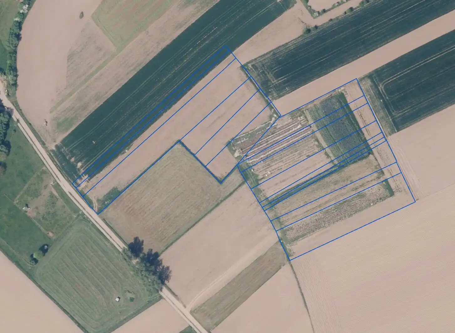 Landbouwgrond te Ninove met een oppervlakte van 20.170m² foto 5