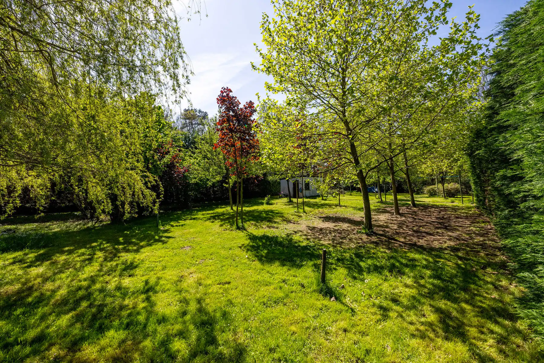 Ruim landhuis op ca. 3010 m² grond met ca. 736 m² bew.opp. foto 43