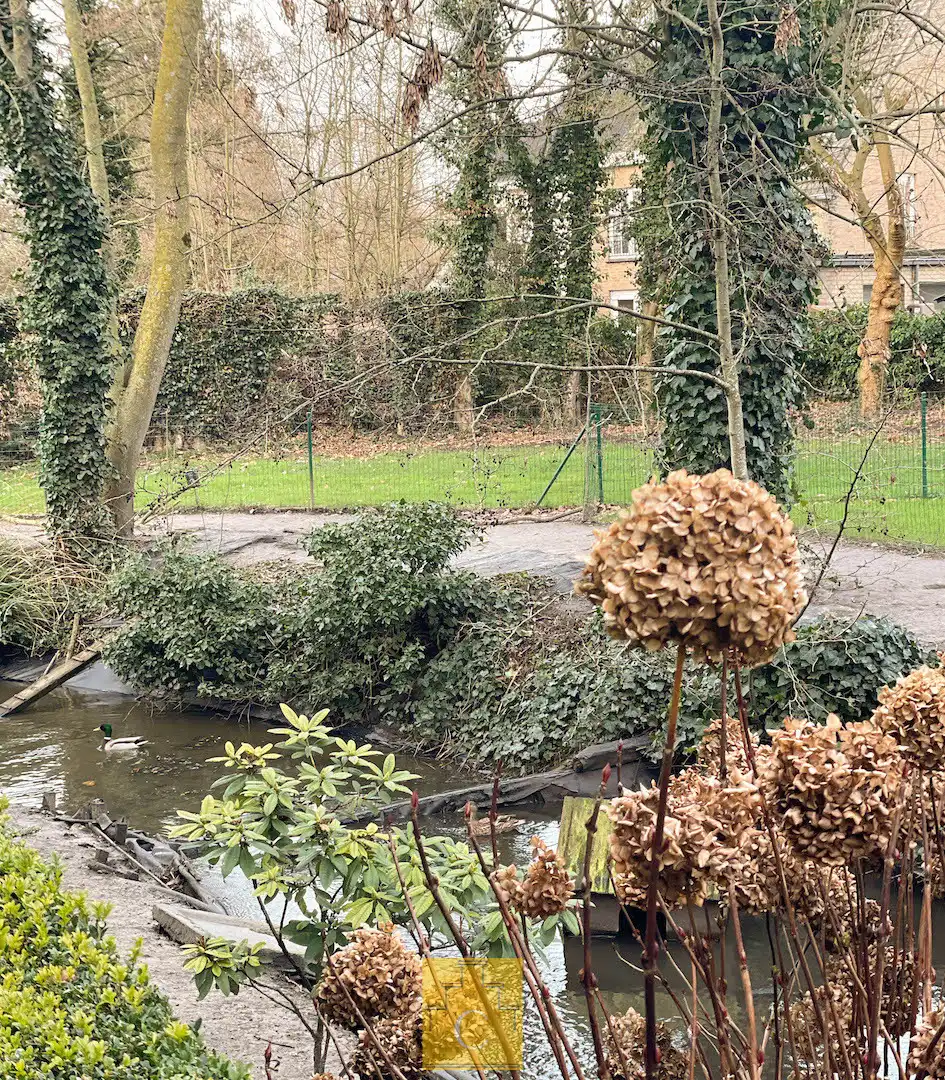 Volledig vernieuwde serviceflat met zonnig terras in een groene oase nabij het centrum van Brugge foto 11
