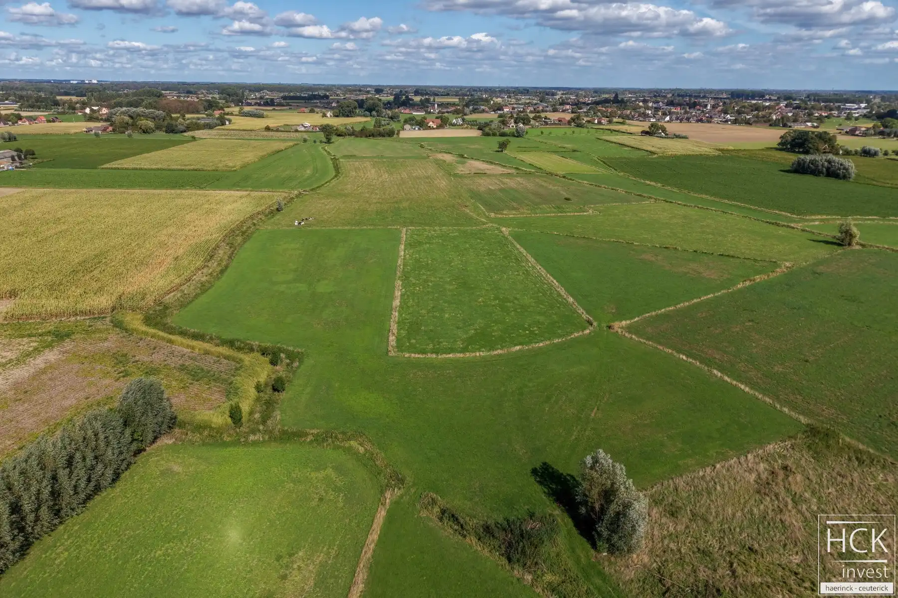 RUISELEDE - Twee percelen landbouwgrond, geheel van 12.880 m² groot foto {{pictureIndex}}