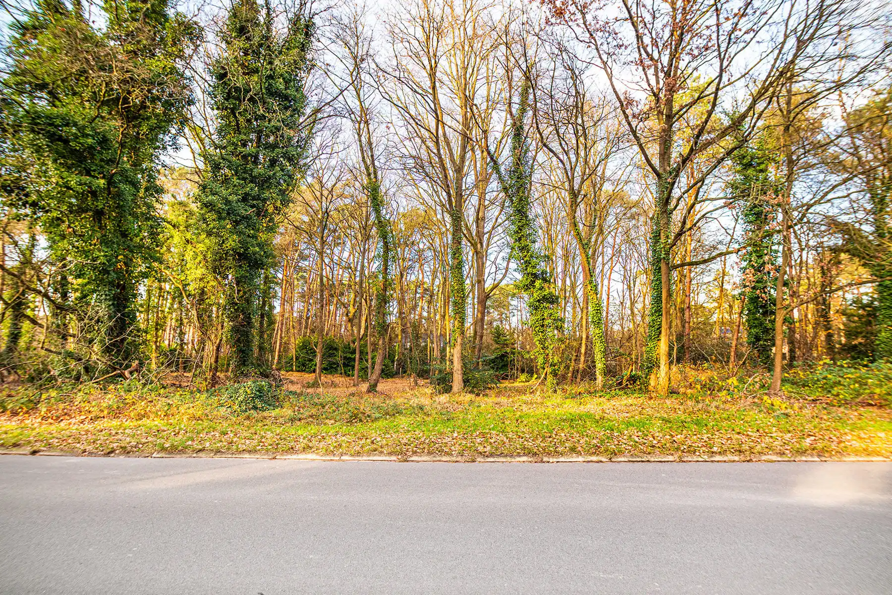 Exclusieve bouwgrond van 4.370 m² in “Golf & Meer”-domein foto 20