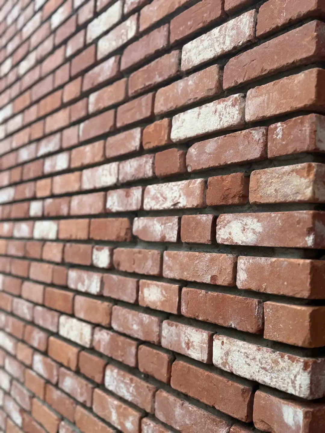 Halfopen bebouwing op een groot perceel in Denderhoutem foto 8