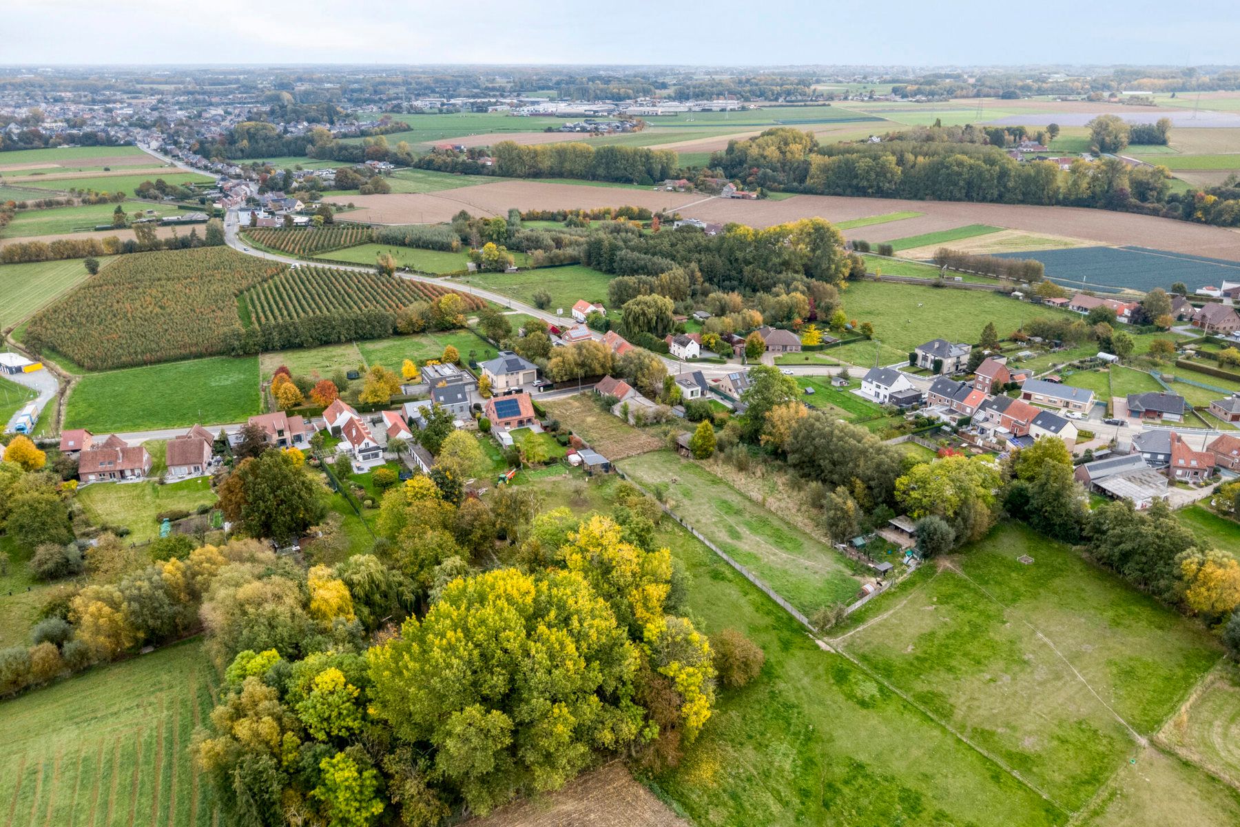 Gerenoveerde hoeve met bijgebouwen en 8 stallen. foto 4