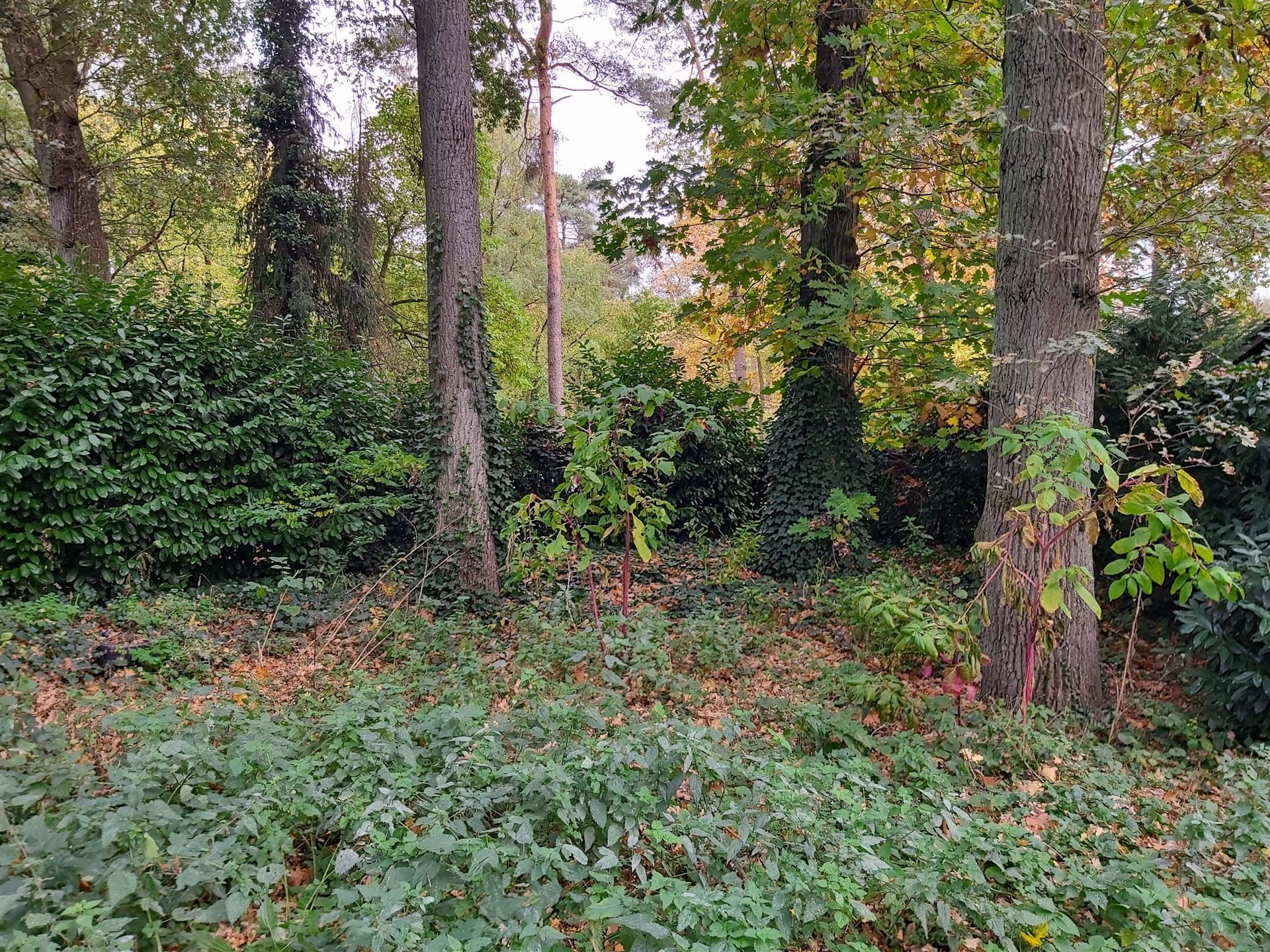 Vakantiewoning met inboedel op vakantiedomein Sonnevijver te Rekem! foto 14