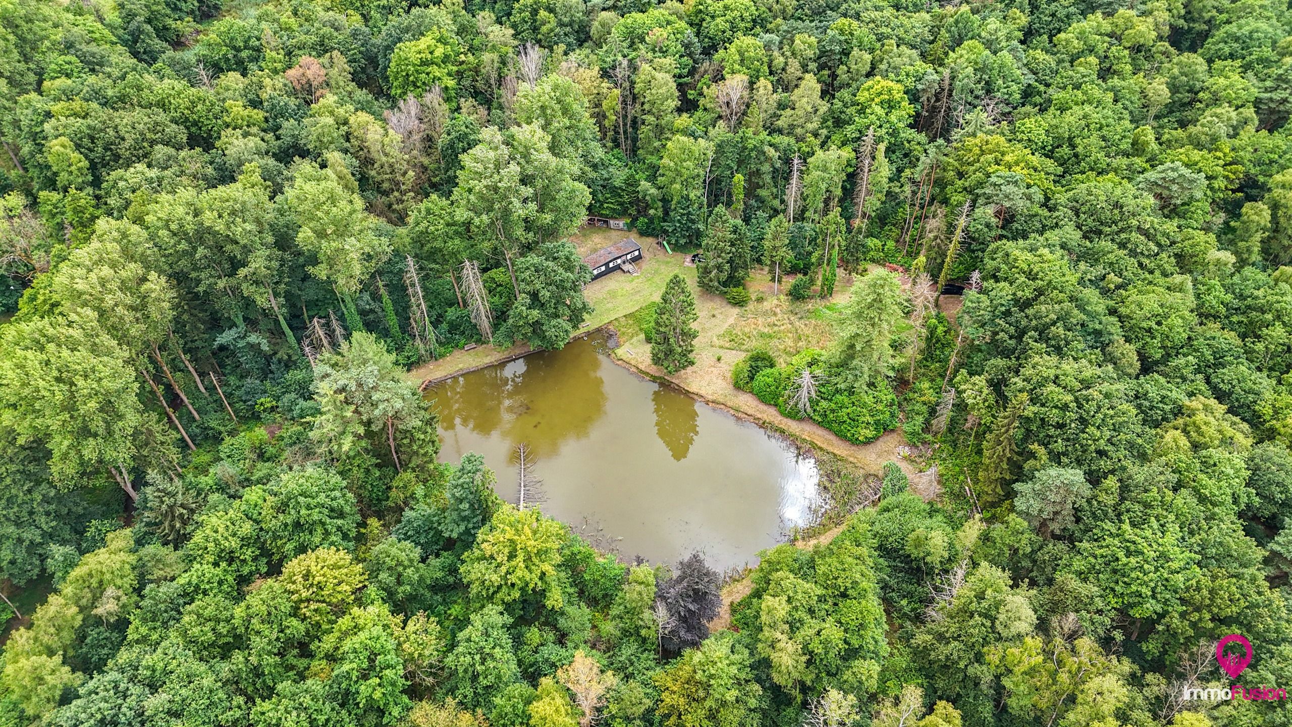 Hoofdfoto van de publicatie: Droom buitenverblijf in Hasselt voor natuurliefhebbers! 
