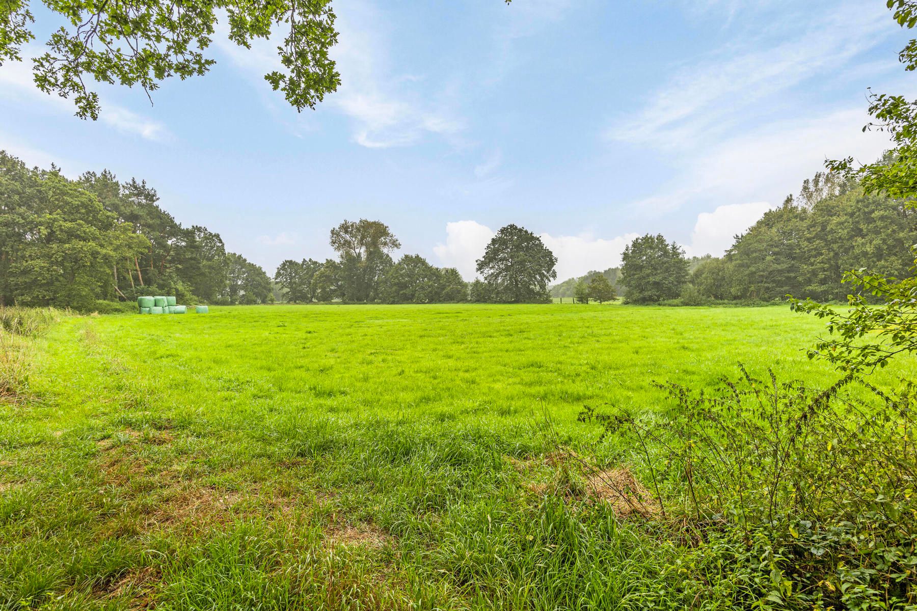 Genieten van eenvoud in een groen kader foto 18