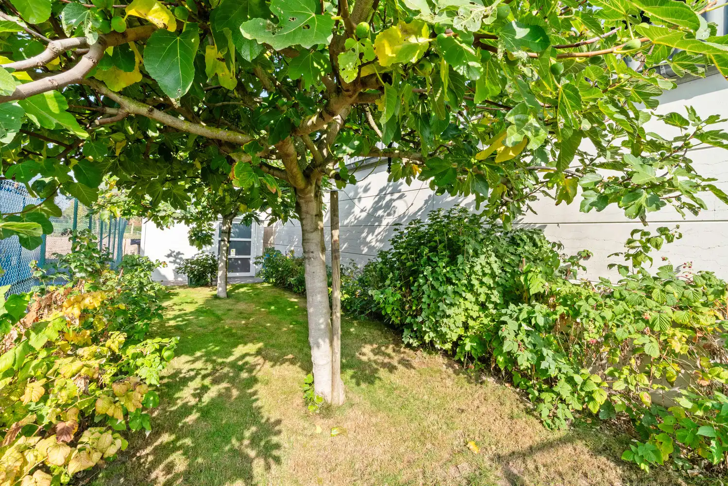 Alleenstaande woning met atelier te Meulebeke. foto 30