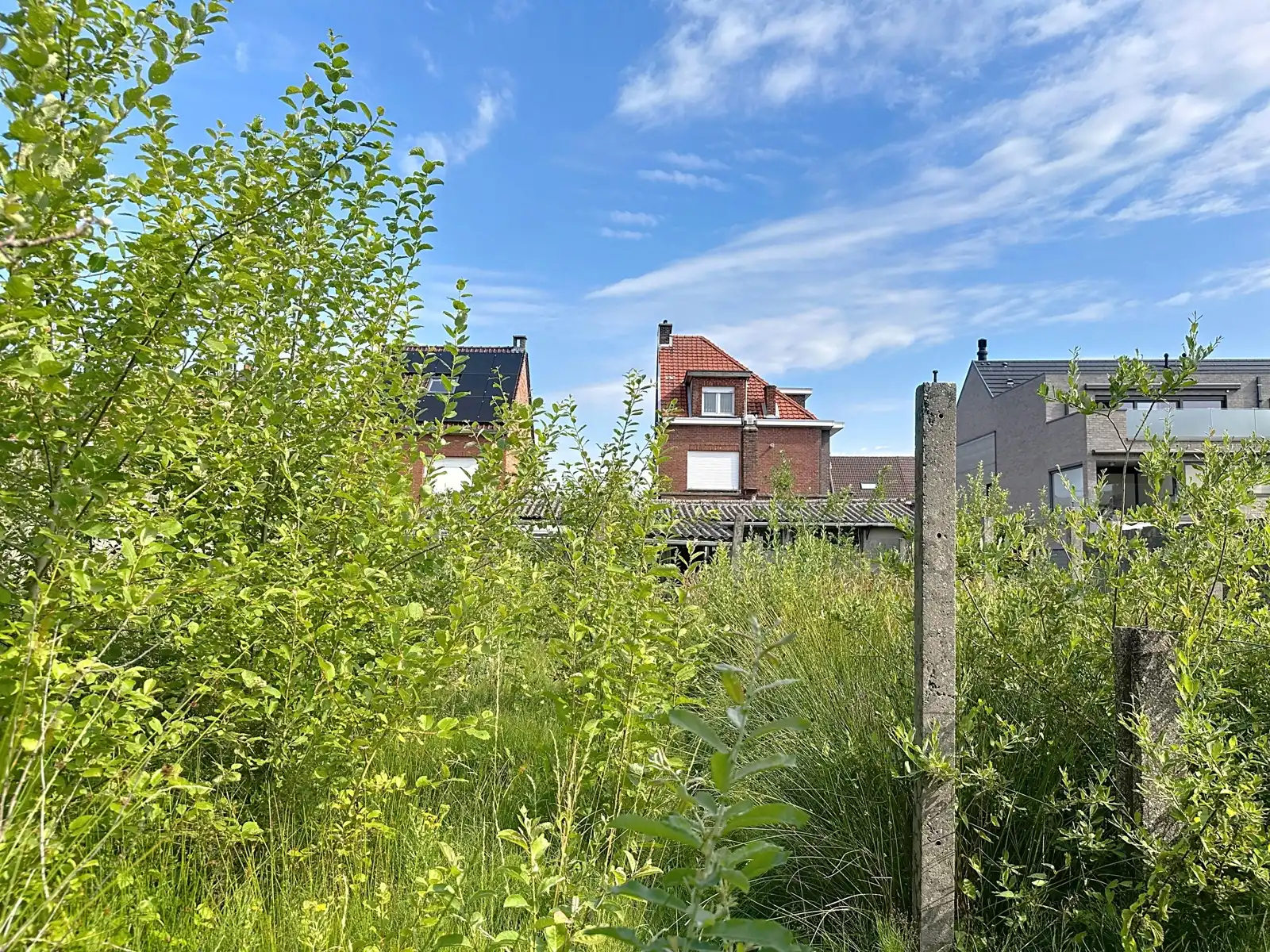 Renovatiewoning met (bouw)grond in hart van Schelle foto 9