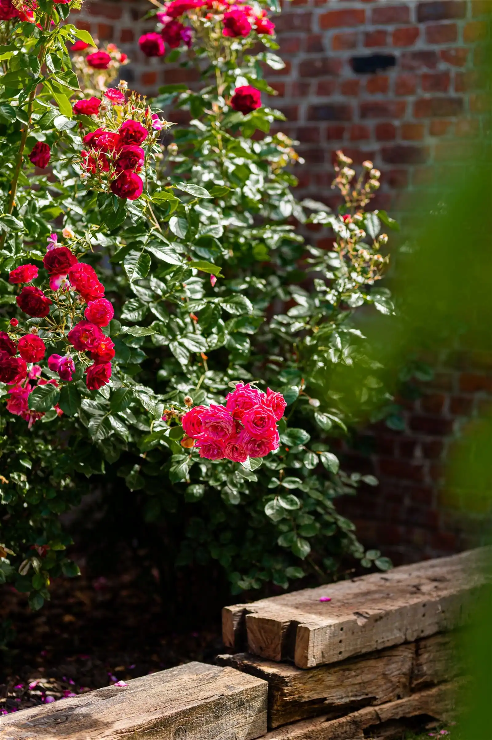 Gerenoveerde ruime fermette met garage en tuin op 9are66 foto 13