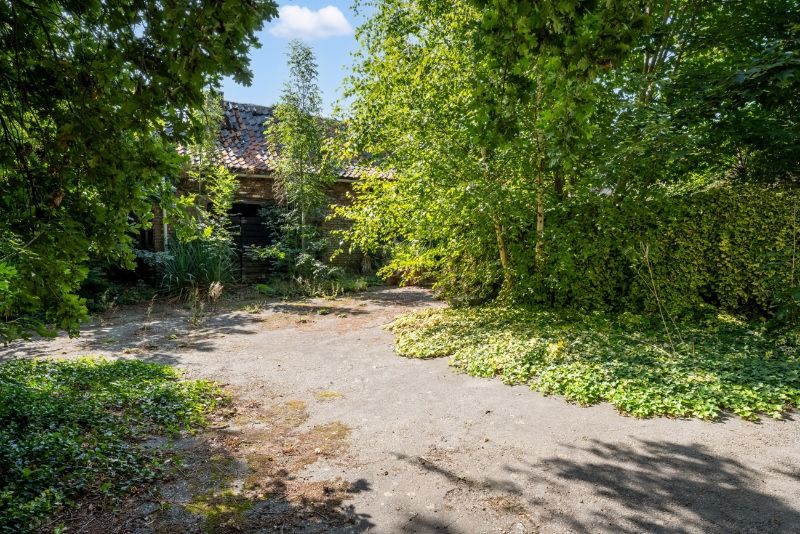 Te renoveren en te verbouwen authentieke vierkantshoeve uit de 18e eeuw foto 26