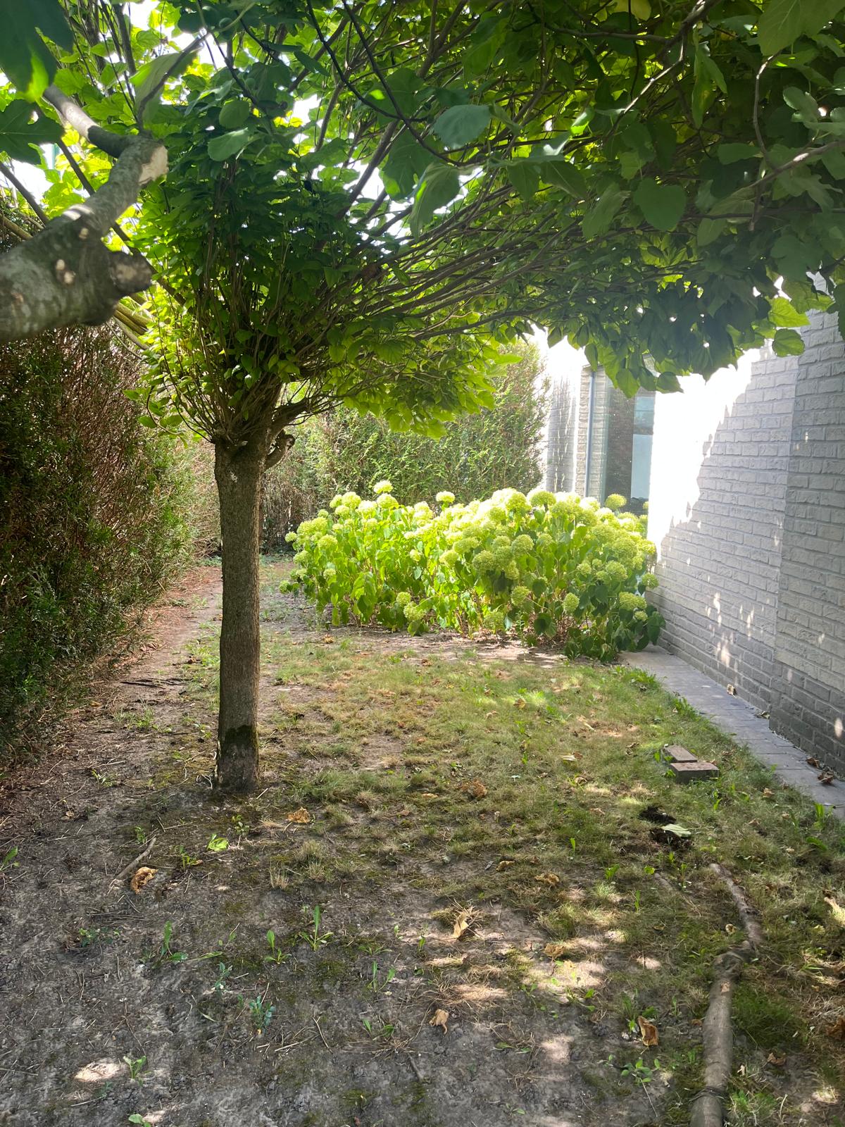 Zeer ruime woning met tuin en garage foto 19