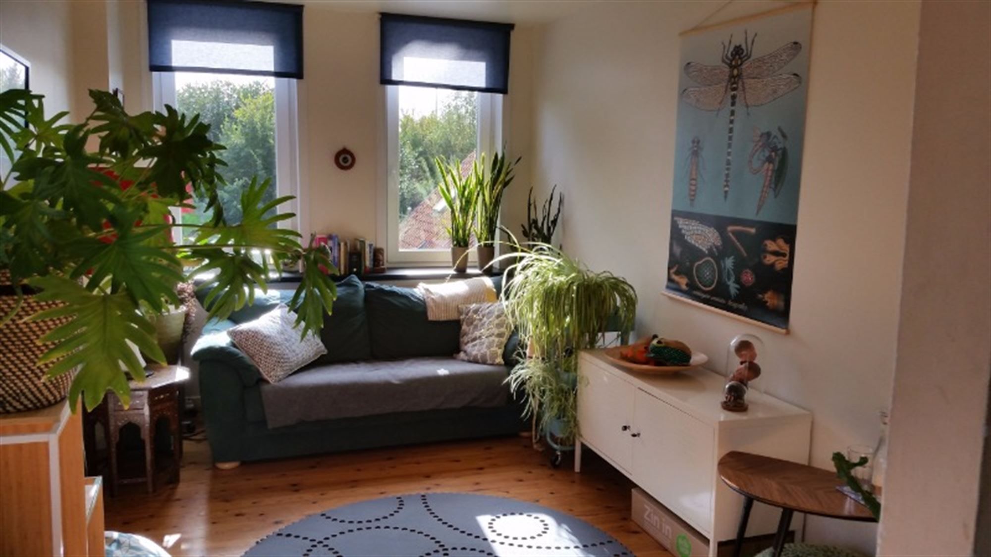 Gezellig appartement foto {{pictureIndex}}