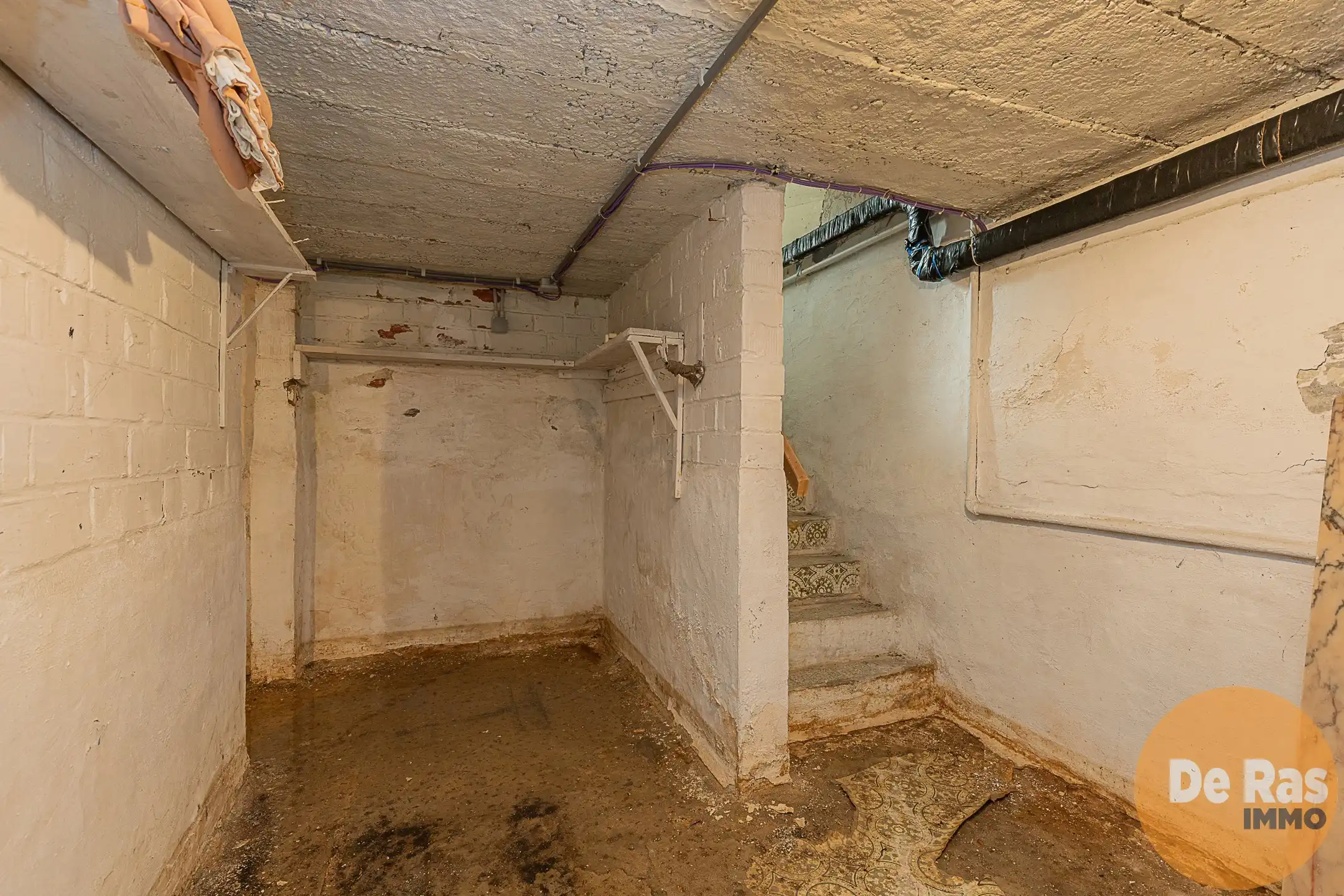 ERPE - Commerciële hoeklocatie op 10a 42ca met mogelijkheden foto 21