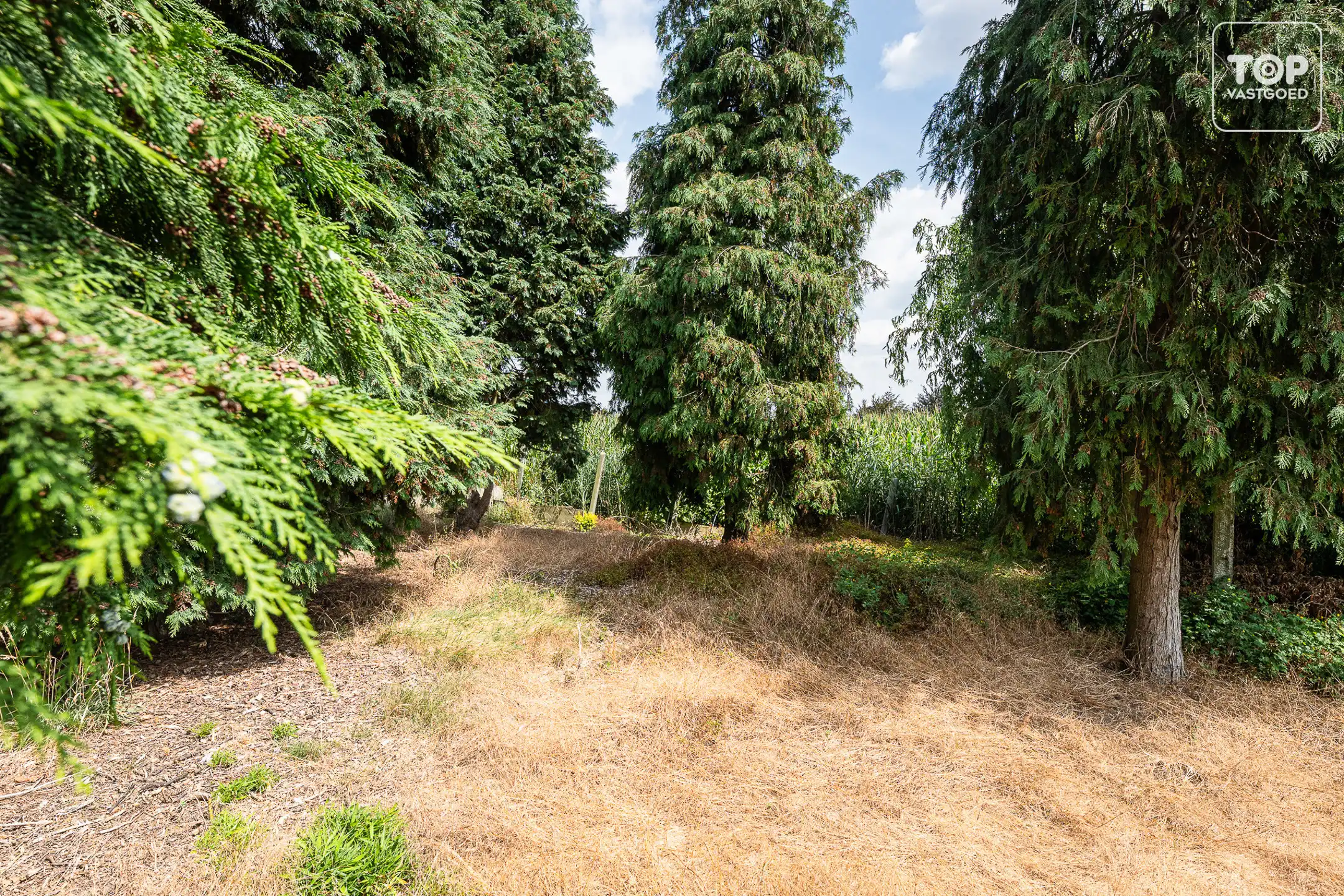 Rustig gelegen woning met ruime tuin, bos en prachtig open uitzicht foto 24