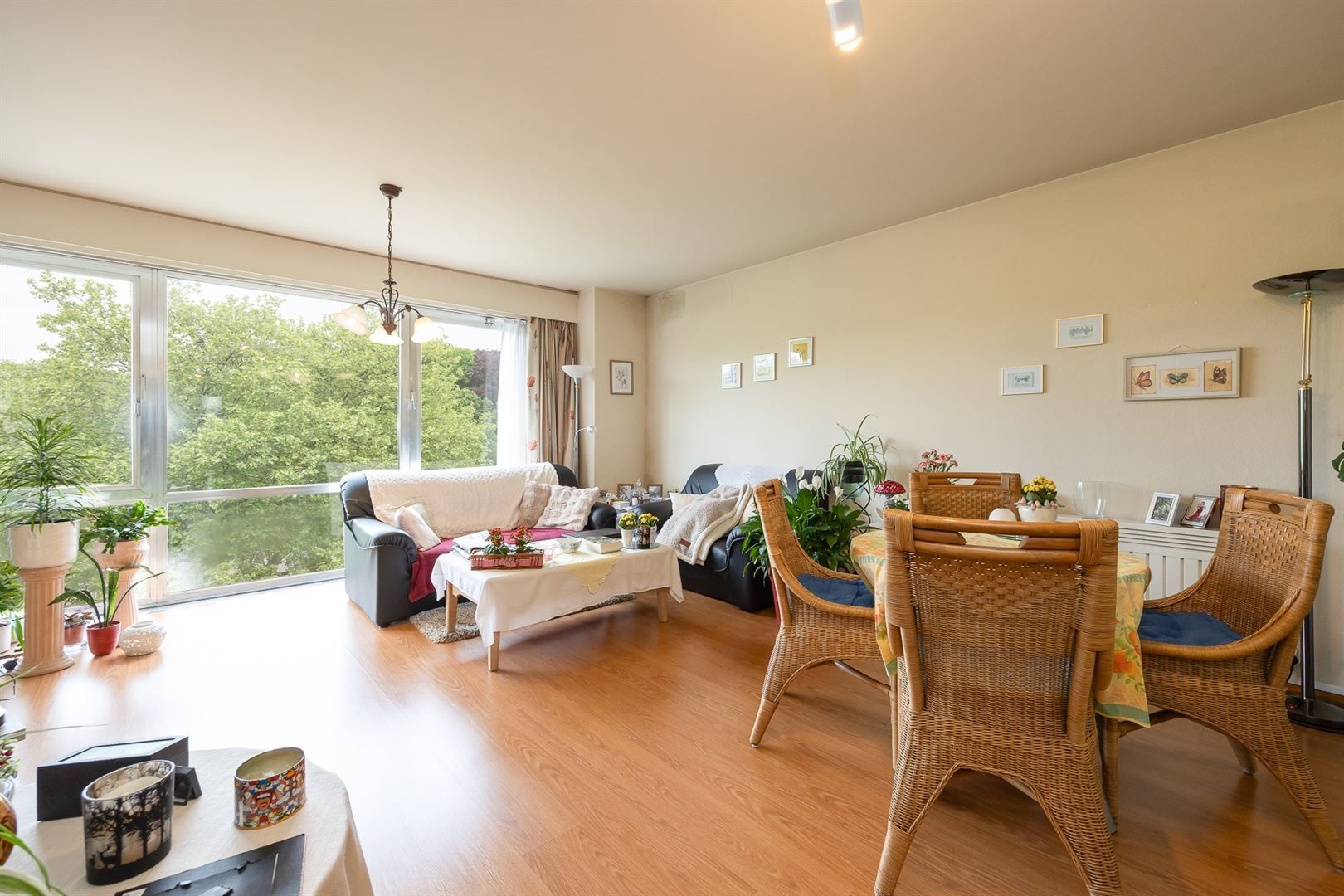 Dit is een topper! Ruim en licht appartement in hartje Brasschaat foto 4