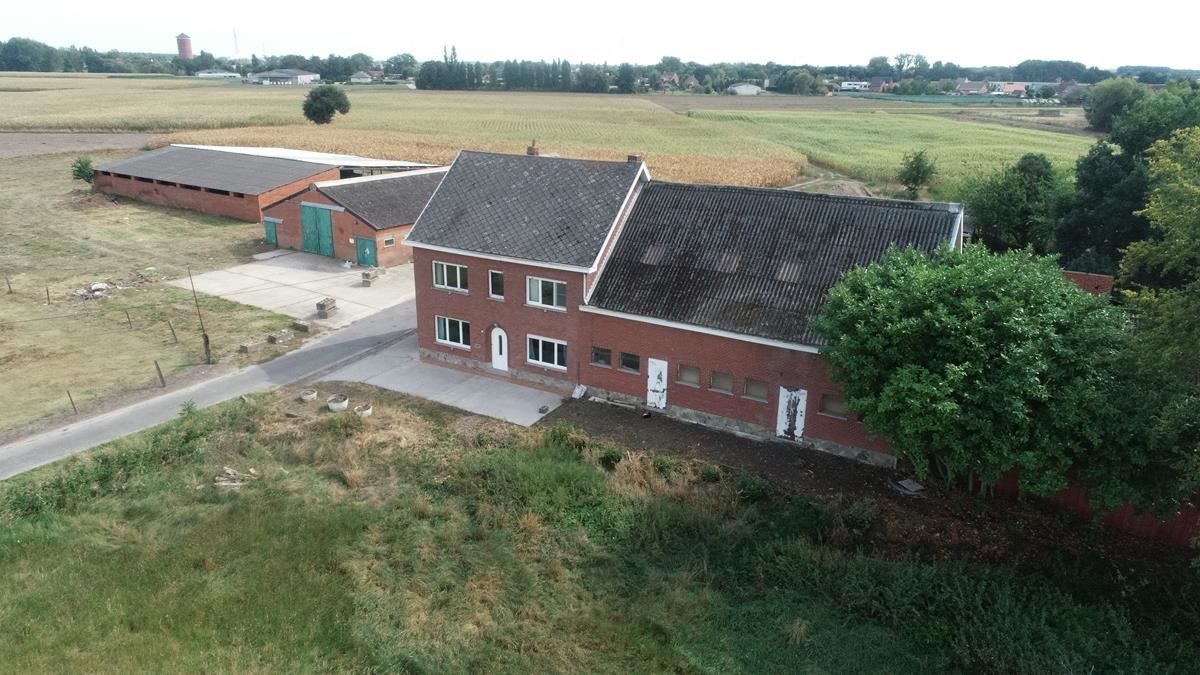 Hoeve met bijgebouwen te Leest foto 2