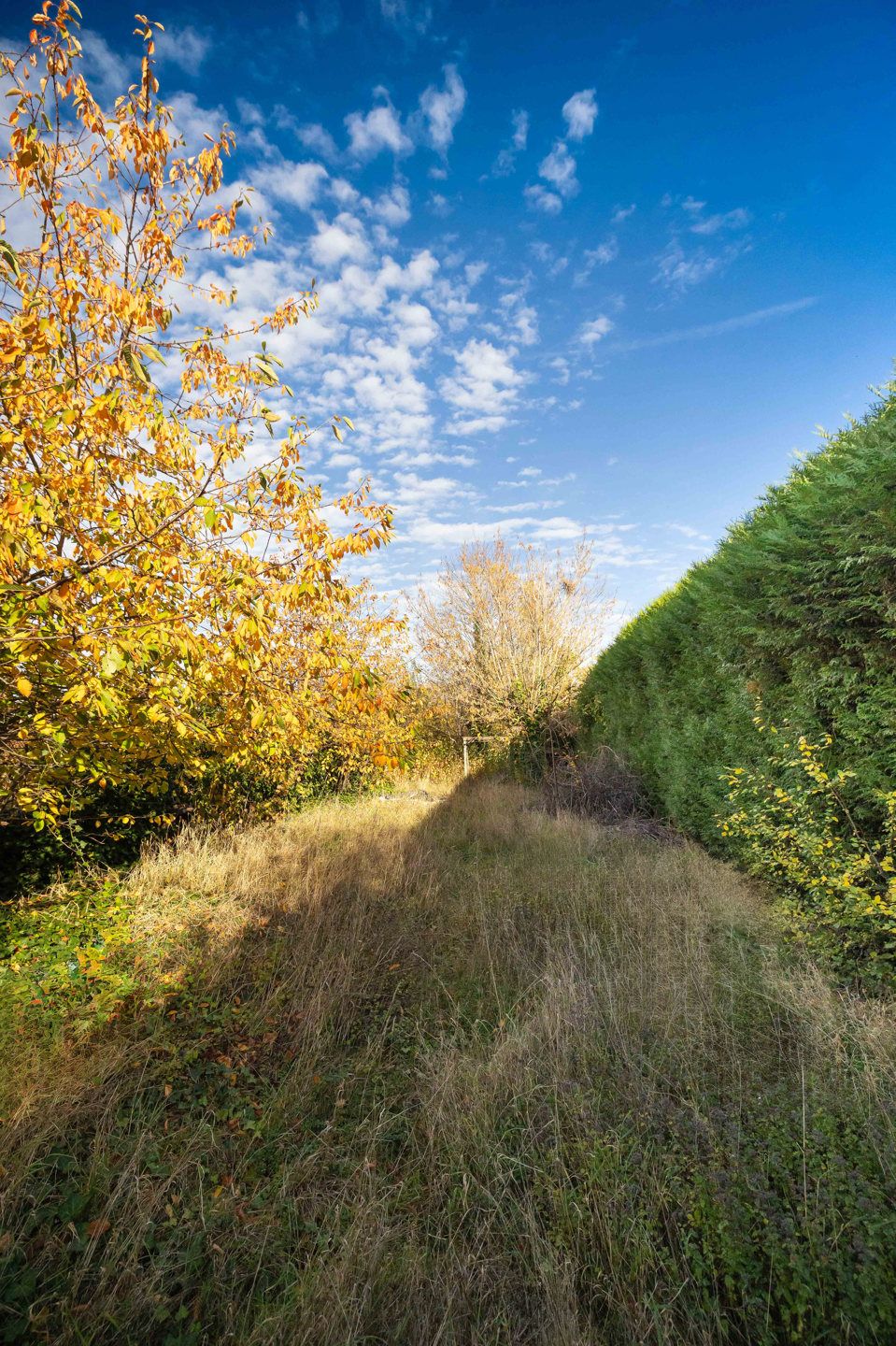 Huis met 3 slaapkamers van ± 175 m² foto 9
