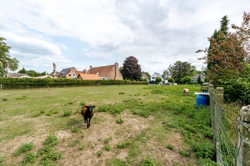 Eigendom 2069m² grondopp - 26m straatbreedte !!! foto 10