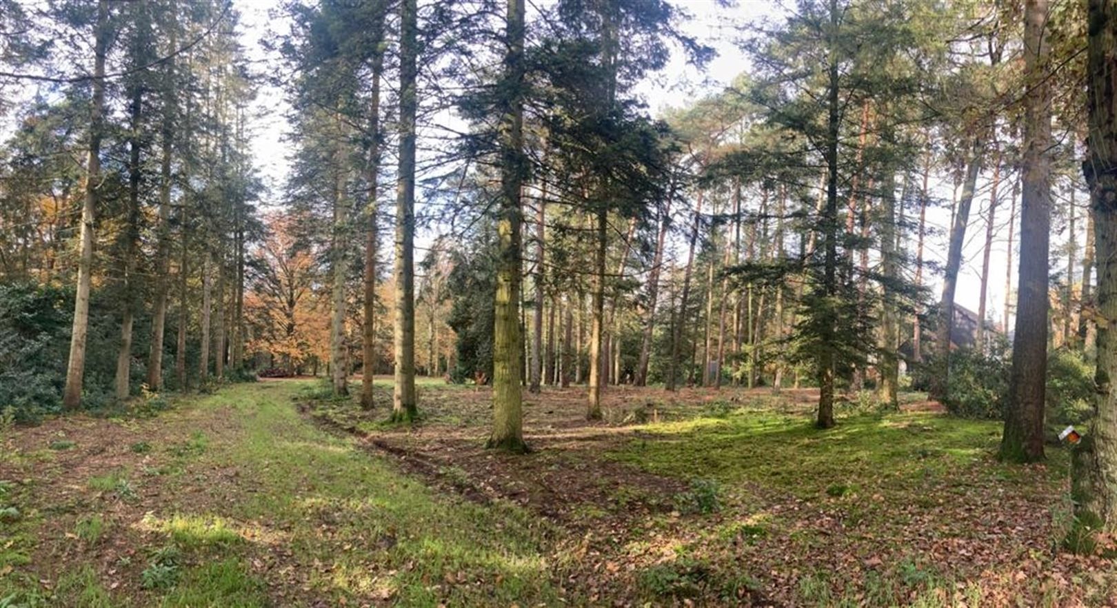 Villagrond 5.371 m² in nieuwe verkaveling bij natuurdomein foto 2