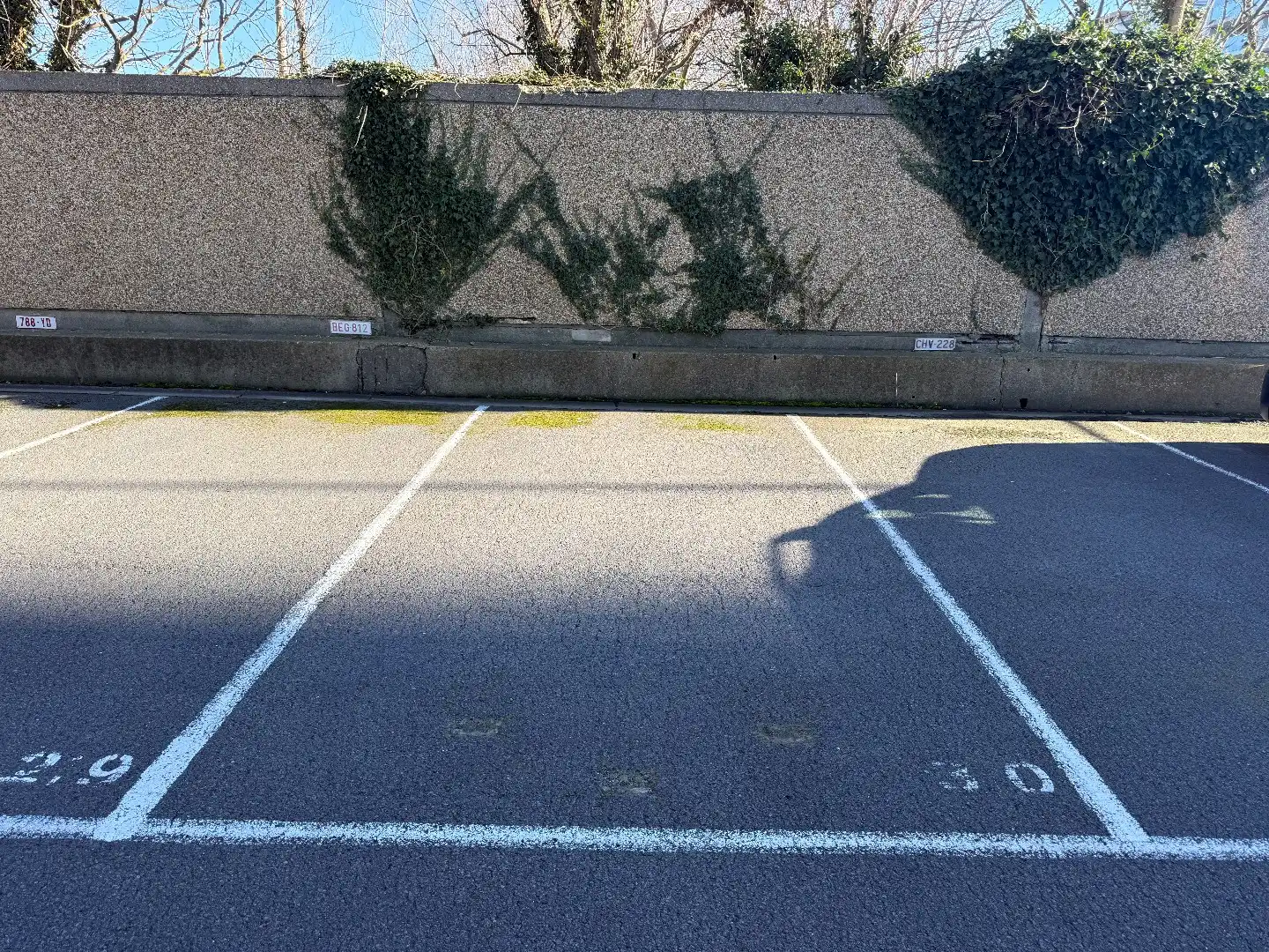 BUITENSTAANPLAATS VLAKBIJ ZEEDIJK foto 2