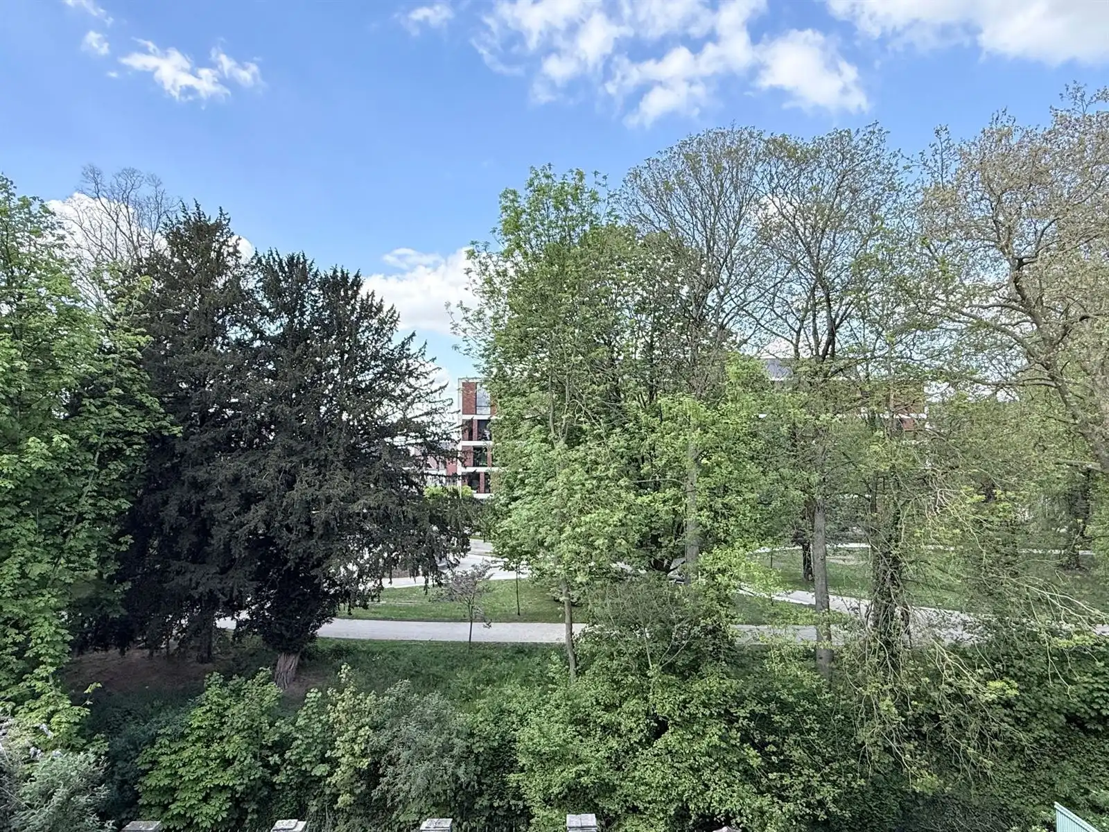 Ruime herenwoning met voormalige dokterspraktijk foto 4