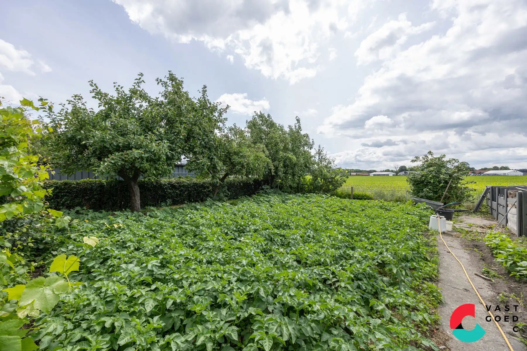 Huis te koop foto 8