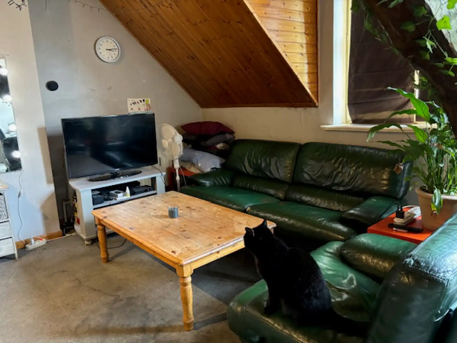 Opbrengsteigendom in hartje Tienen foto 25