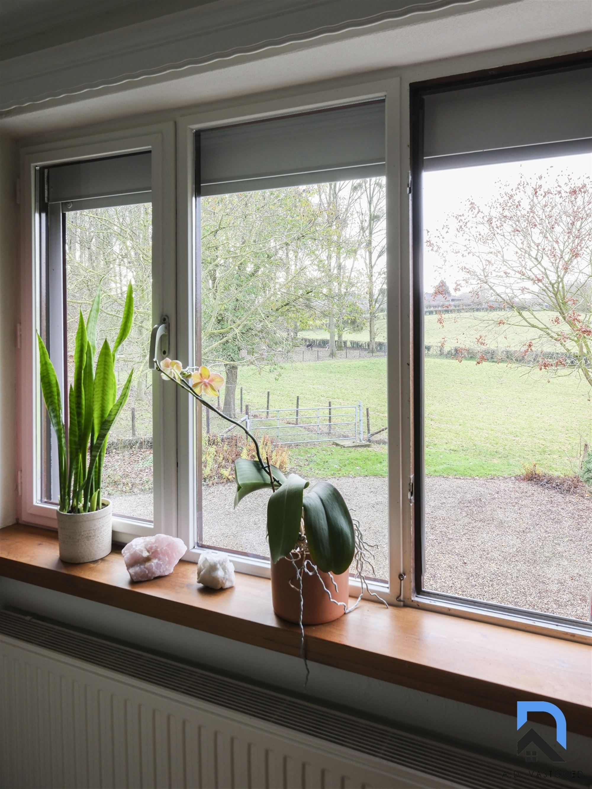 Mooie woning in het groen foto 19