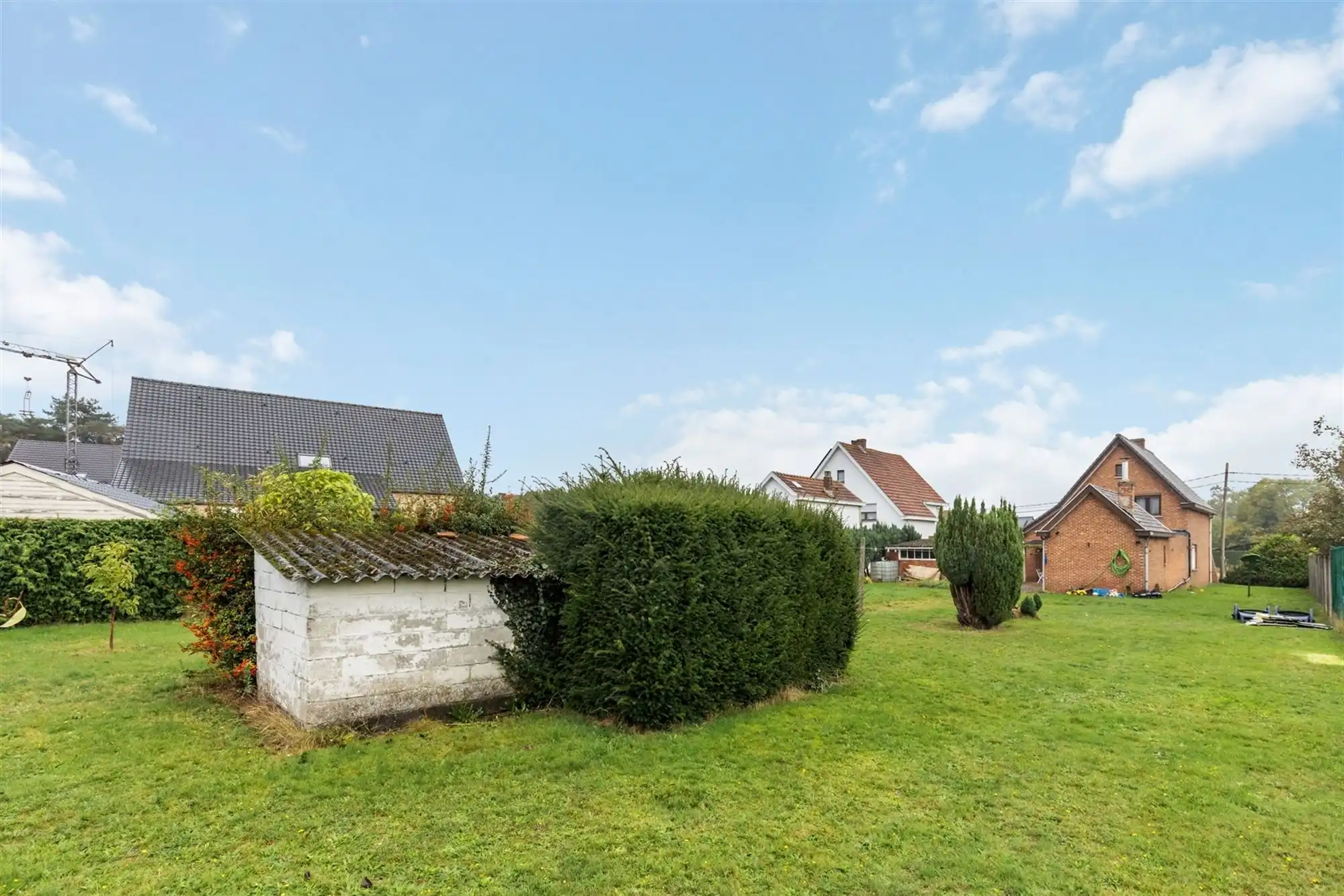 OP TE FRISSEN WONING MET 3 SLAAPKAMERS OP EEN RUIM PERCEEL VAN 10A57CA TE BEVERLO foto 21