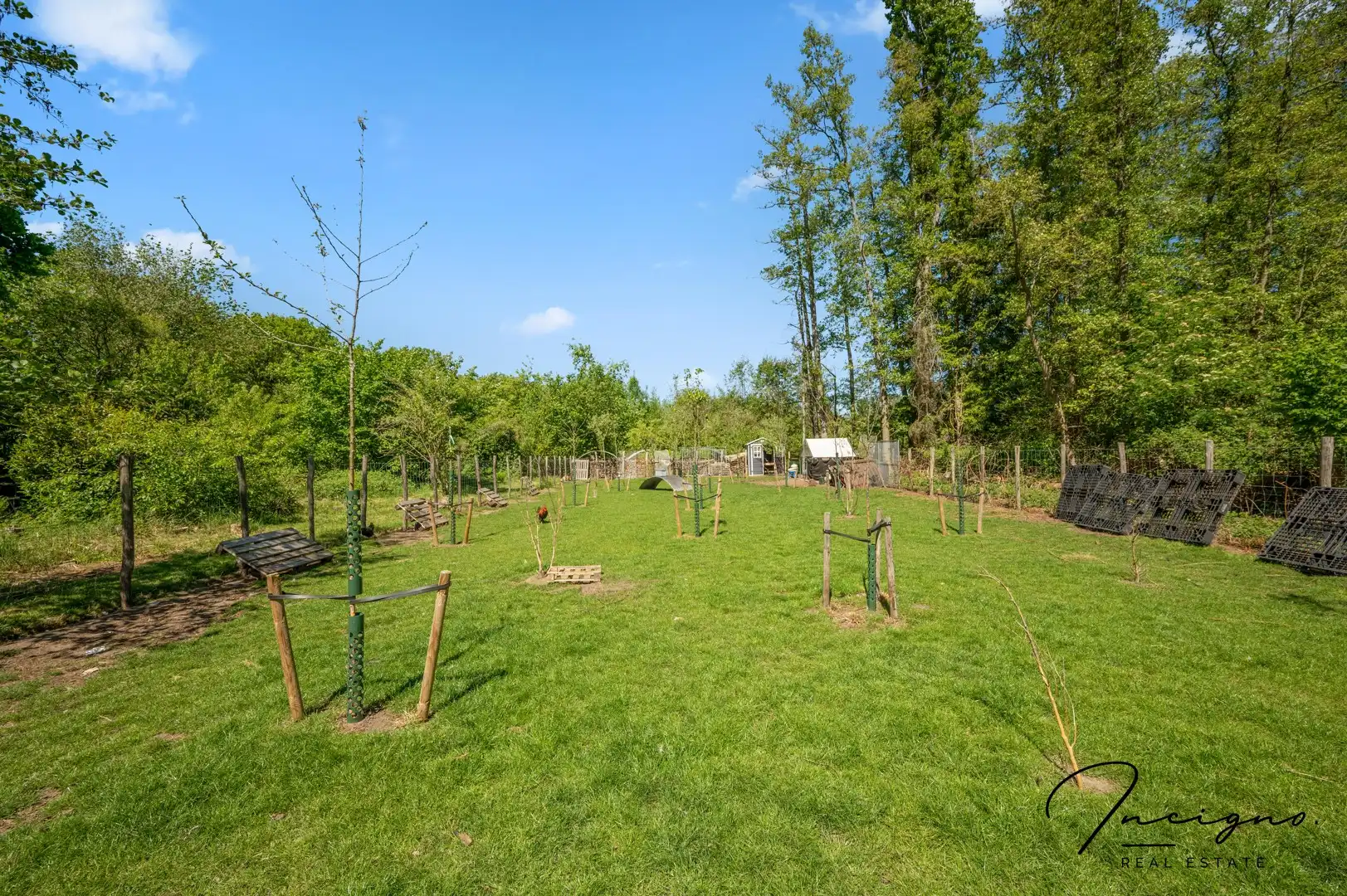 Recente stijlvolle BEN woning op een perceel van +- 15a foto 21