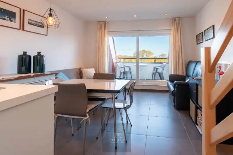 Recent duplex-appartement met één slaapkamer en slaaphoek. foto 11