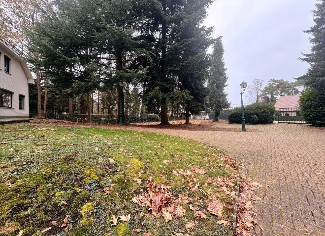 Uitzonderlijk ruime, vrijstaande woning met tuin te huur in Maasmechelen foto 16