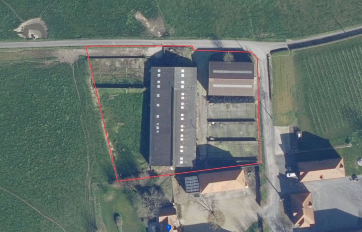 Loods en stal te koop te Moorslede op 4.200 m² met mogelijkheid aanpalende weide foto 2