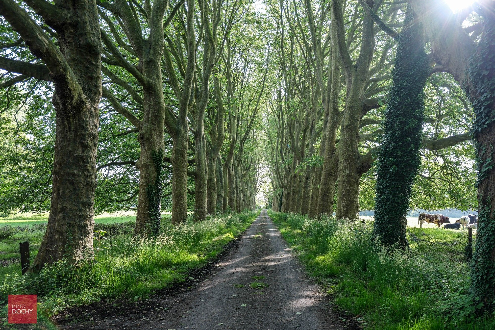 Hoofdfoto van de publicatie: Historische kloosterhoeve aan de oevers van de Leie