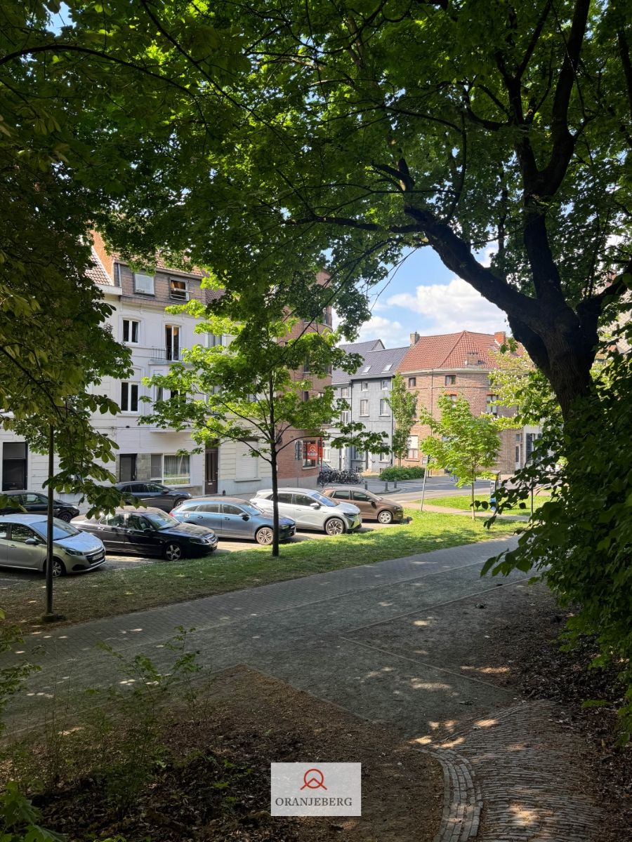 Gerenoveerd ruim duplex appartement met 2 slpk's foto 50