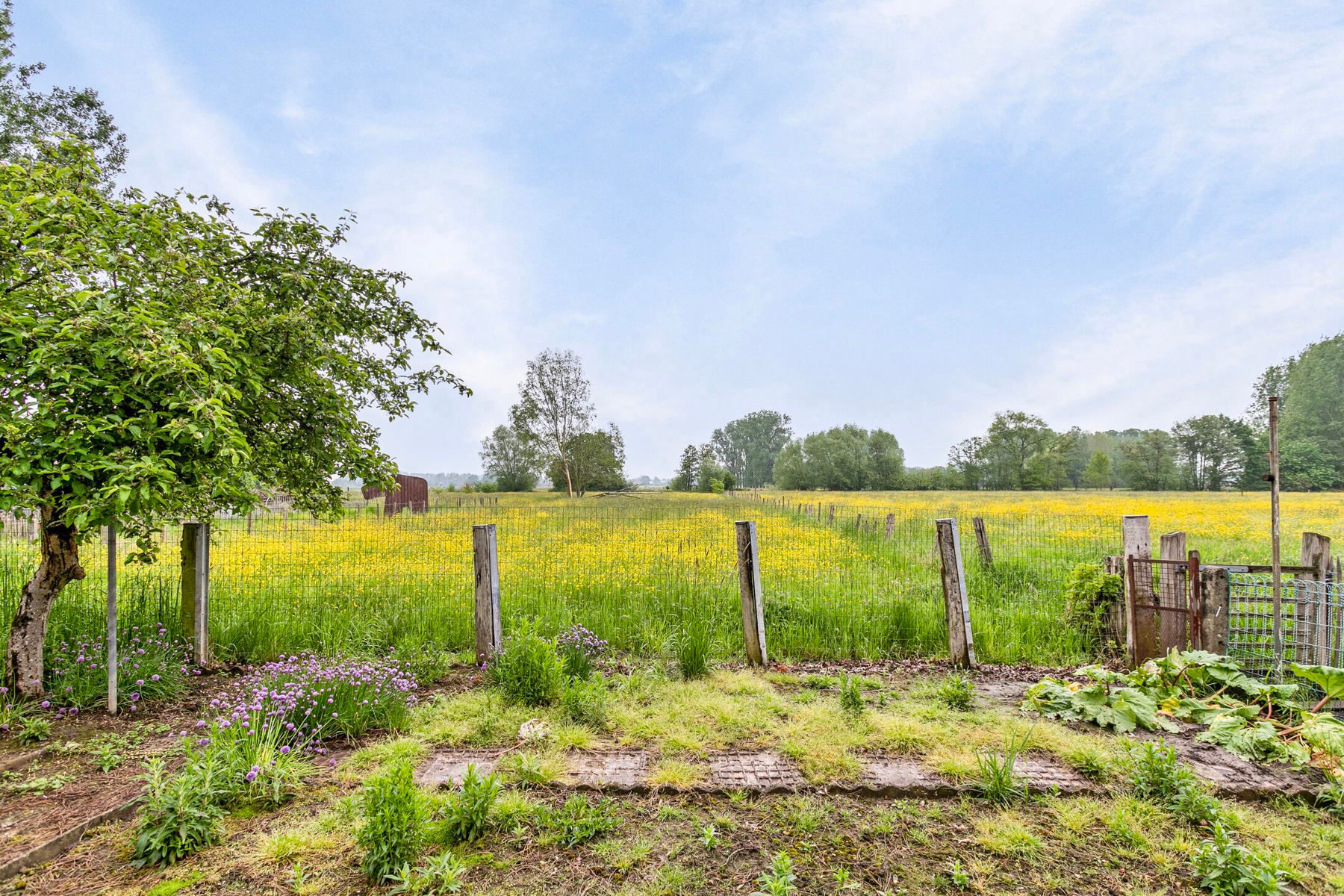 Bungalow met prachtig zicht te Herent. foto 5