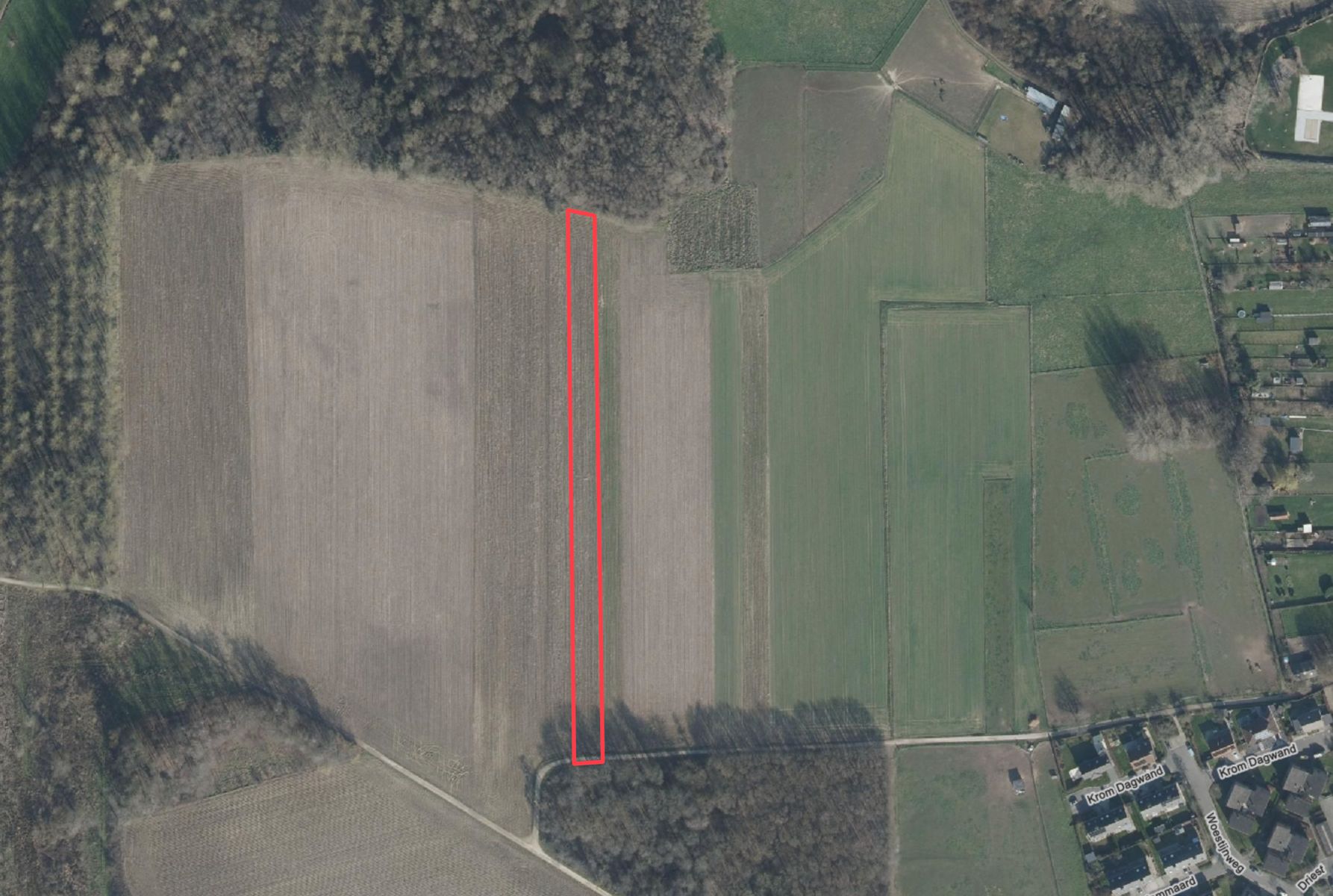 LANDBOUWGROND TE KOOP REGIO ASSE foto {{pictureIndex}}