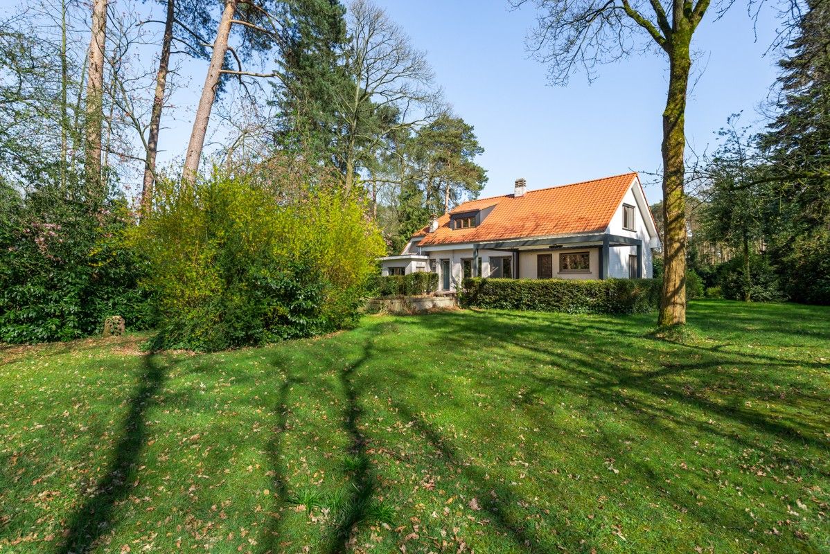 Verder af te werken charmante woning op 1840m² vlakbij het centrum van Sint-Antonius foto 18