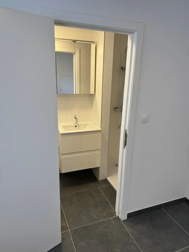 Volledig gerenoveerd  1-slaapkamerappartment foto 11