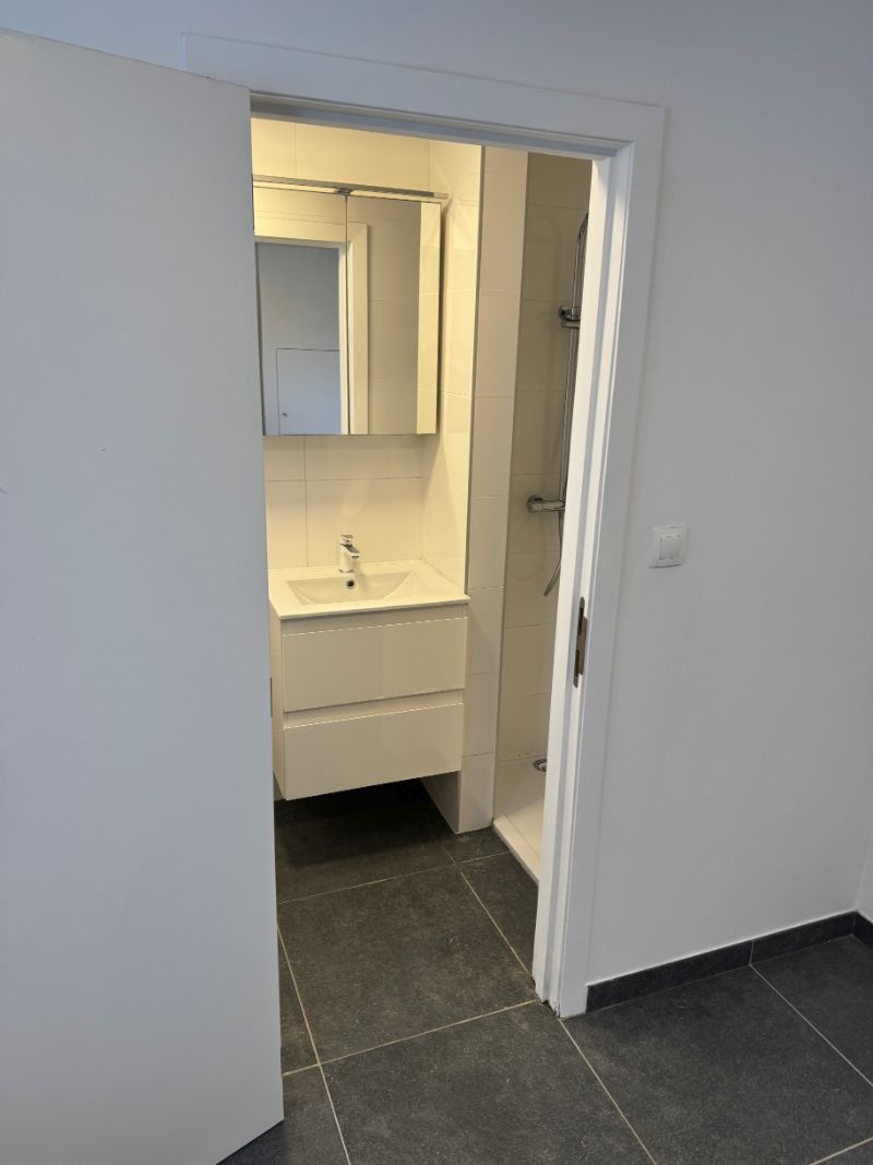 Volledig gerenoveerd  1-slaapkamerappartment foto 11