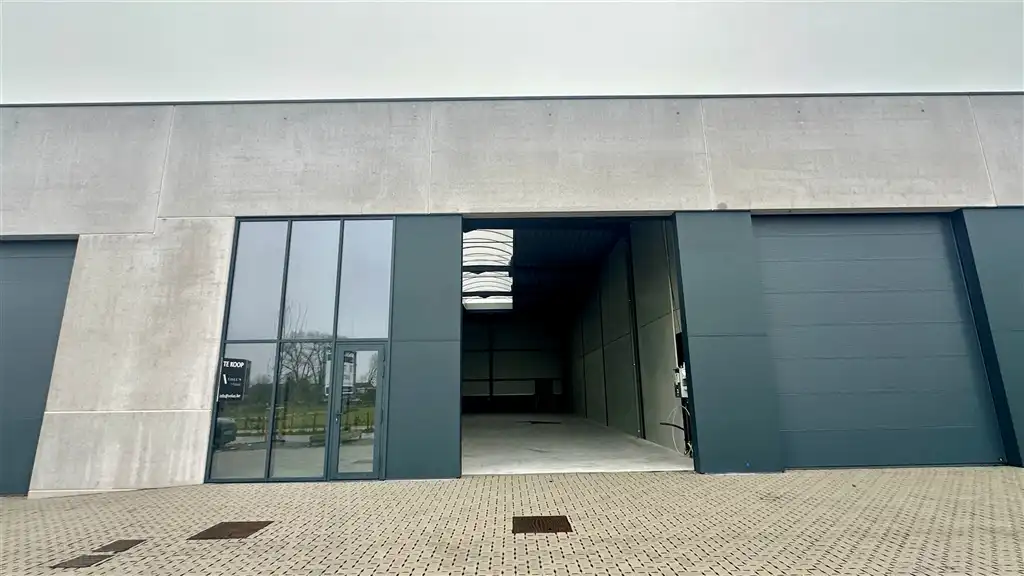 RIVA VOLUS DENTERGEM foto 5