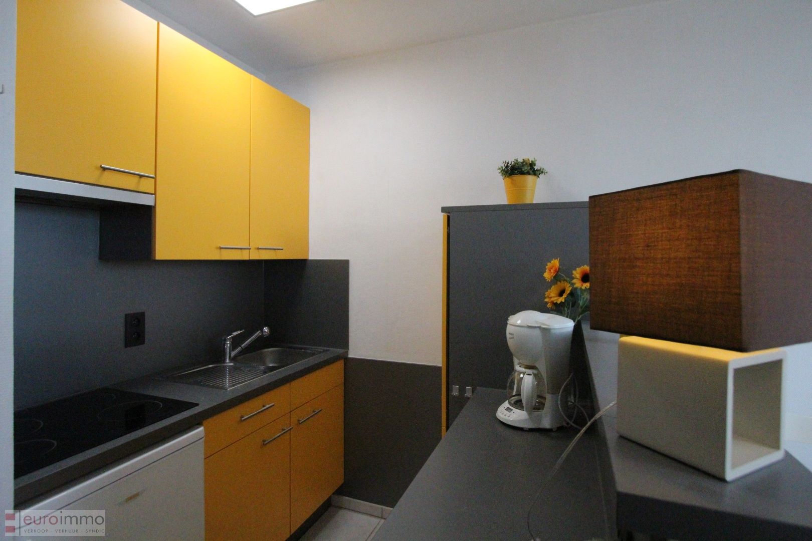 Zuidgerichte studio op een centrale ligging te Nieuwpoort-Bad. foto 4