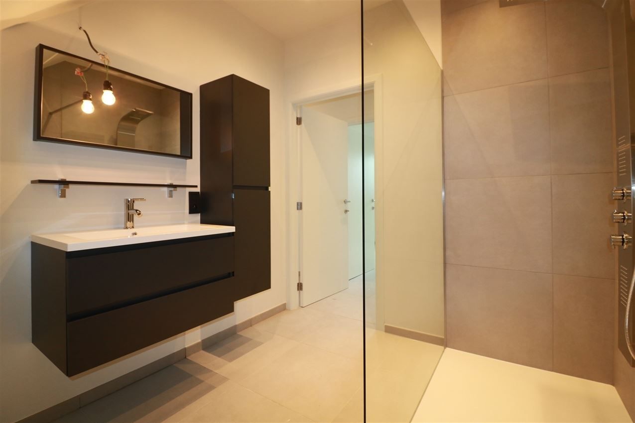 gerenoveerde duplex, 3 slpk., terras, nabij centrum en E 314  foto 23