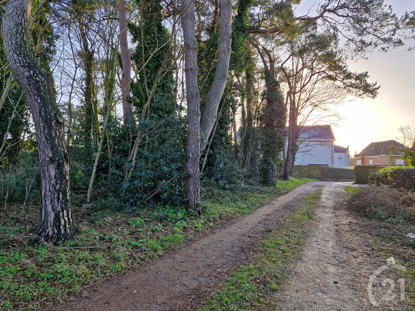 Nieuw te bouwen woning te koop in Tremelo! foto 7