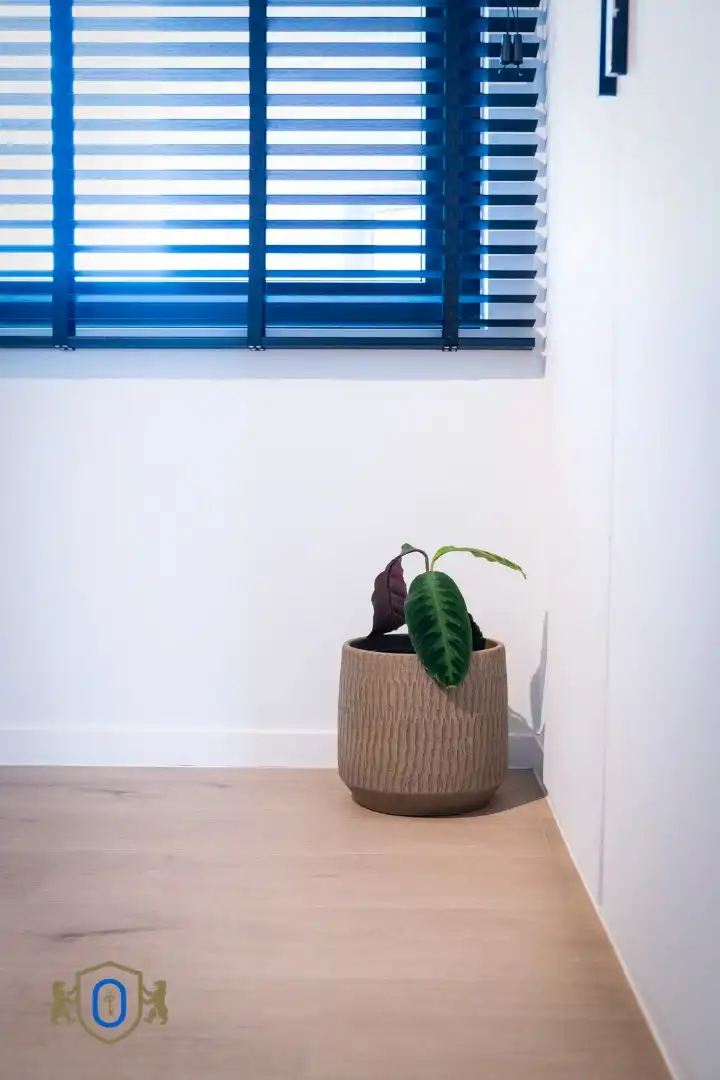 Instapklaar 1-slpkr appartement met terras foto 23