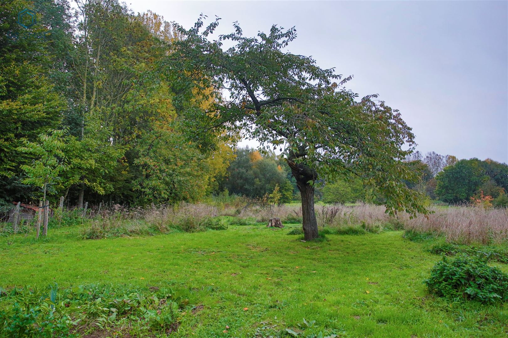 De verborgen oase van rust in het Pajottenland  foto 4