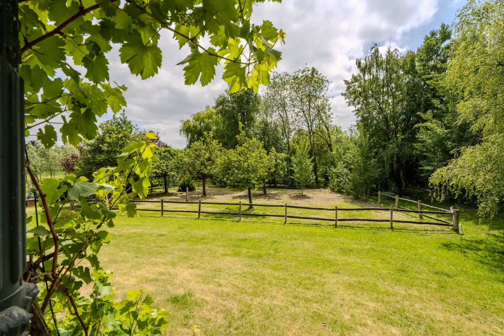 Ruime villa met mooie tuin foto 5