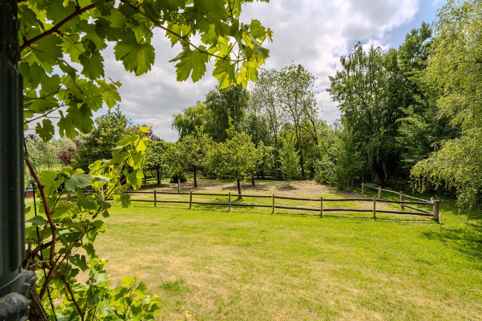 Ruime villa met mooie tuin foto 5